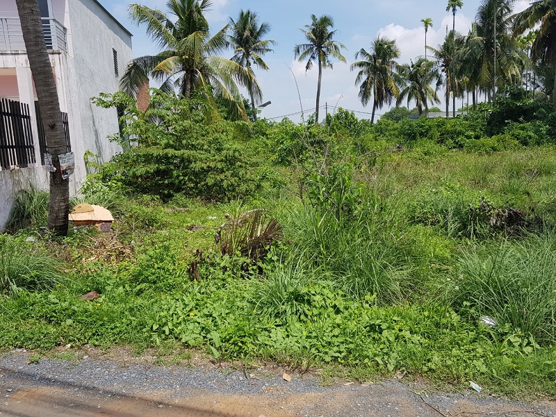 Hãy cùng Mogi bán đất vườn Bình Chánh hiệu quả với giá hời nhé