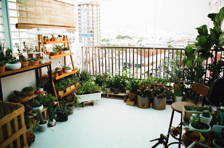 ban cong nha dep nhu mo lam tu do bo di cua phuong vy idol