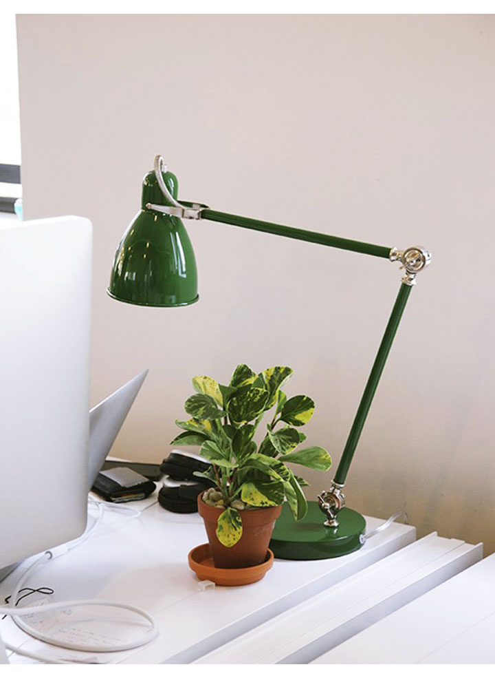 chon dung cay, dat dung cho trong nha de gia dinh luon may man va an yen