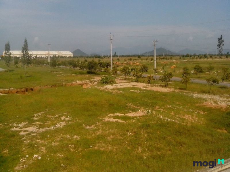 Những tin cho thuê đất Đà Nẵng đều nhanh chóng tìm được khách hàng phù hợp