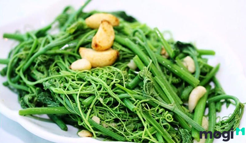 Rau su su nơi cổng trời Tam Đảo.