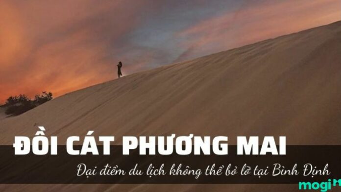 doi-cat-phuong-mai đồi cát phương mai