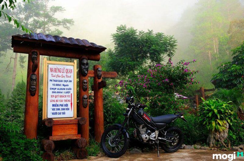 ma rừng lữ quán
