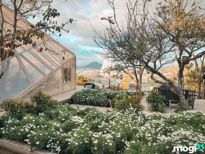 Đường đi đến tiệm cà phê Túi Mơ To khá đơn giản.