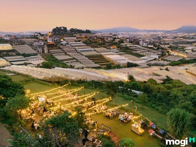 Nhà hàng Túi Mơ To Garden Restaurant