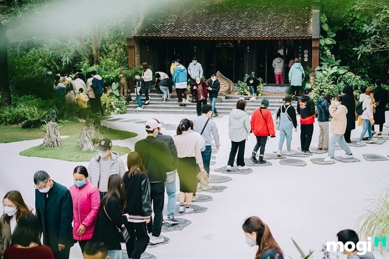 Ngày đầu năm mới chùa rực rỡ với nhiều hoa tươi.