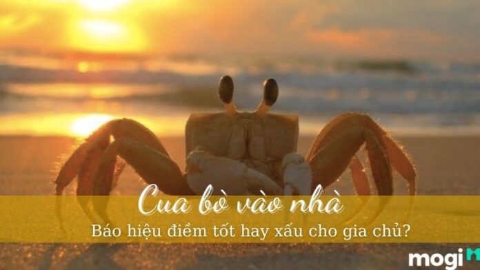 cua bò vào nhà