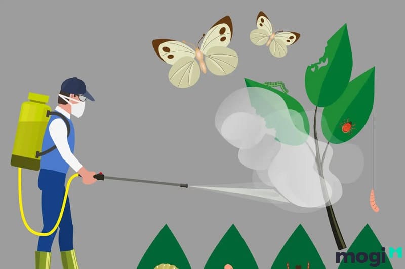 cách để kiến không vào nhà