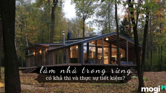 làm nhà trong rừng