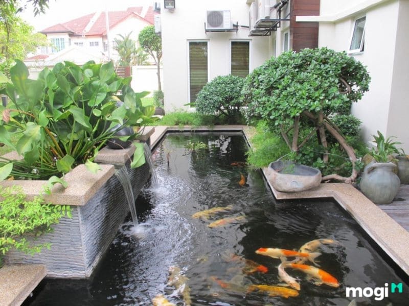 Chọn hướng và vị trí xây hồ cá trước nhà