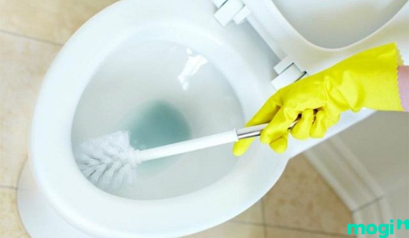 xử lý mùi hôi nhà vệ sinh