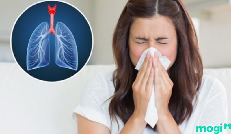 xử lý mùi hôi nhà vệ sinh