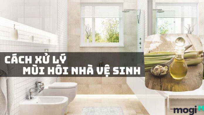 xu-ly-mui-hoi-nha-ve-sinh xử lý mùi hôi nhà vệ sinh
