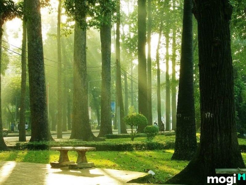 quận 1 cũng quy tụ nhiều công viên cây xanh nổi tiếng