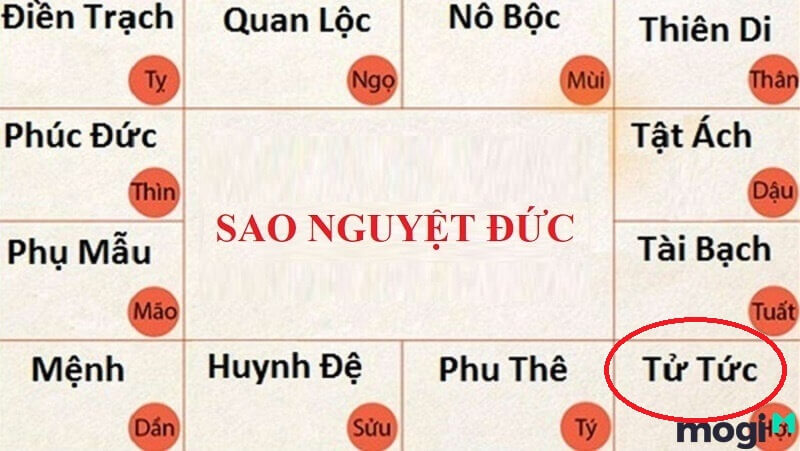 Thiện sao này ở cung Tử Tức
