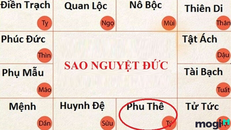 Sao Nguyệt Đức ở cung Phu Thê