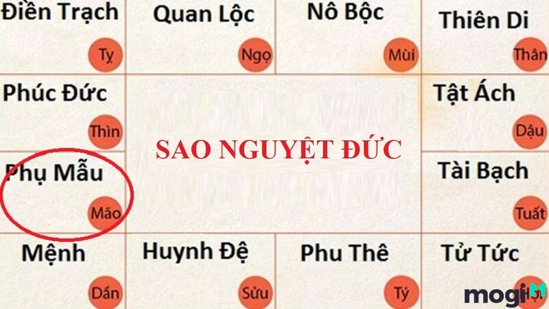 Sao Nguyệt Đức ở cung Phụ Mẫu