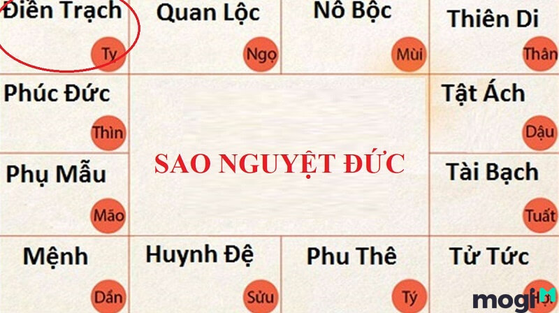 Sao Nguyệt Đức ở cung Điền Trạch