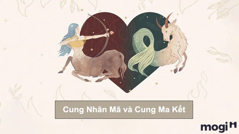 tháng 12 cung gì