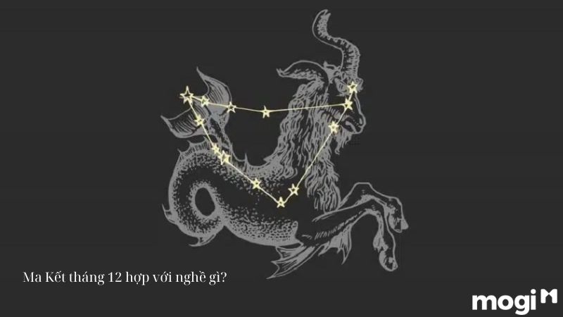 tháng 12 cung gì