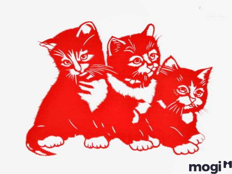 Tử vi tuổi Mão ngày 13/12/2023