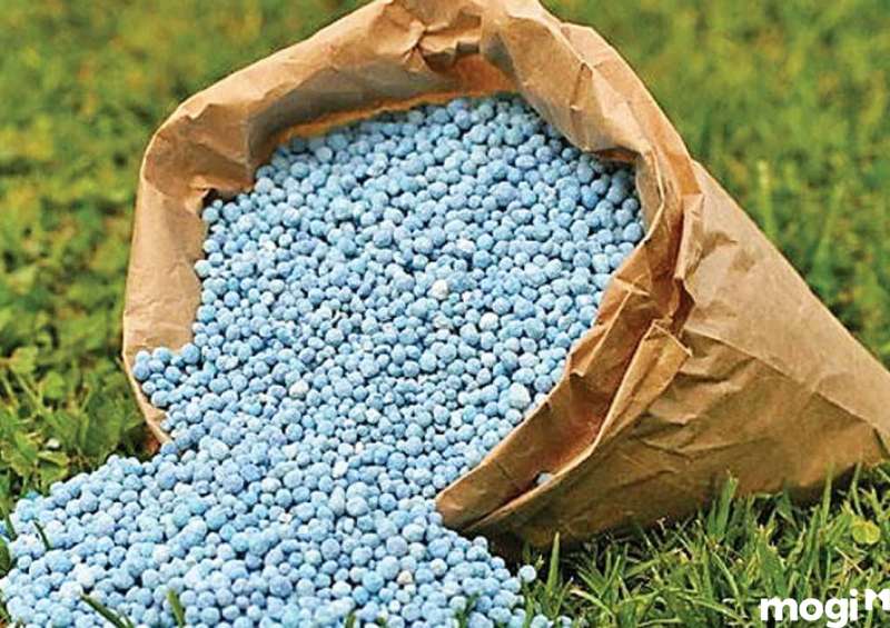 Đất chua do sử dụng phân bón hóa học quá mức và biện pháp cải tạo đất chua