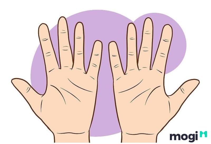Cách Xem Chỉ Tay Tại Nhà Cực Đơn Giản, Chính Xác Và Hiệu Quả 1 Quy tắc "nam tả, nữ hữu" khi xem chỉ tay