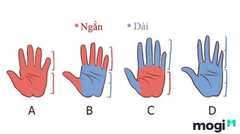 Cách Xem Chỉ Tay Tại Nhà Cực Đơn Giản, Chính Xác Và Hiệu Quả 30 Xem độ dài của lòng bàn tay