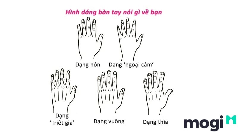 Cách Xem Chỉ Tay Tại Nhà Cực Đơn Giản, Chính Xác Và Hiệu Quả 29 Xem hình dáng bàn tay