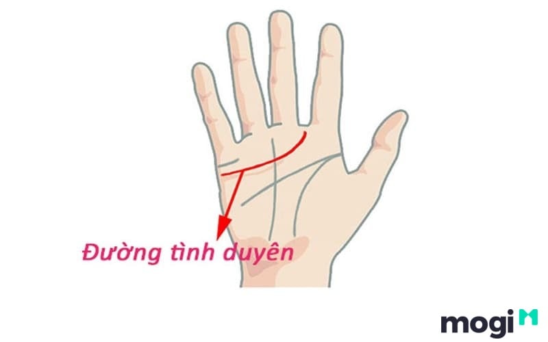 Cách Xem Chỉ Tay Tại Nhà Cực Đơn Giản, Chính Xác Và Hiệu Quả 8 Vị trí đường tâm đạo để xem tình duyên