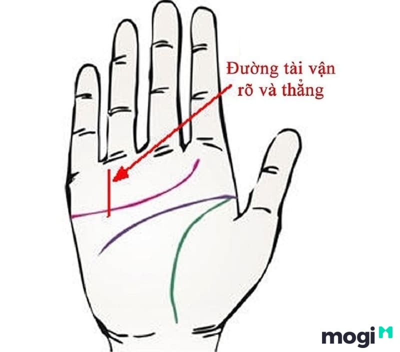 Cách Xem Chỉ Tay Tại Nhà Cực Đơn Giản, Chính Xác Và Hiệu Quả 9 Vị trí đường tài vận ở nữ giới
