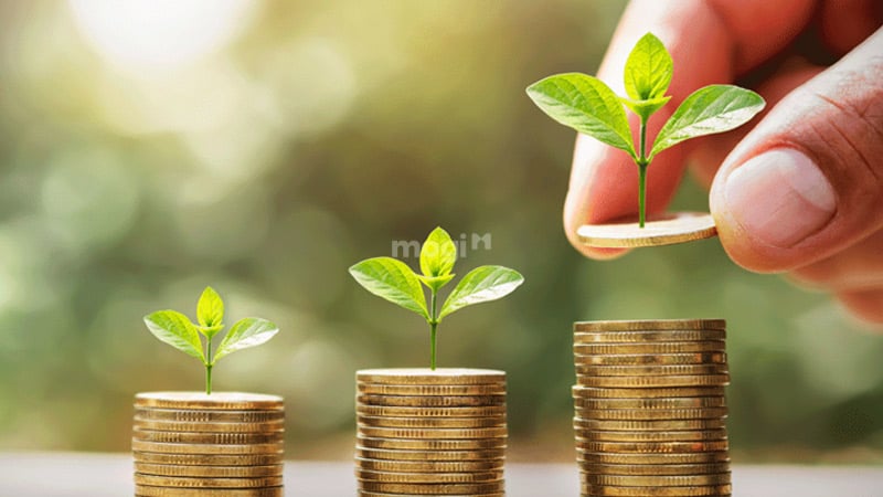 Khả năng sinh lời cao và tiết kiệm được chi phí