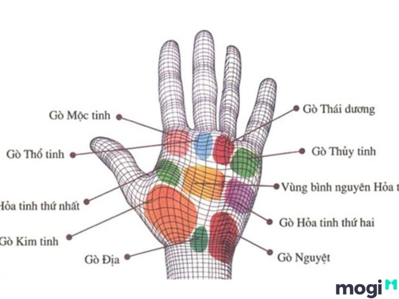 Gò Thái  m là gì