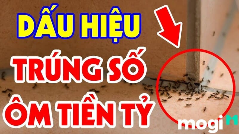 Kiến Đen Vào Nhà Là Điềm Báo Gì? Điềm Tốt Hay Xấu? Cách Trị Kiến Vào Nhà Hiệu Quả 5 Trong nhà có tổ kiến là tốt hay xấu theo phong thủyTrong nhà có tổ kiến là tốt hay xấu theo phong thủy