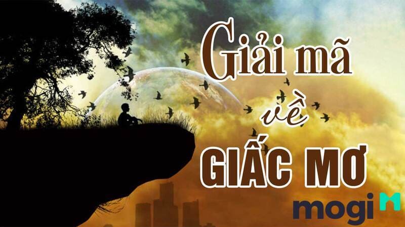Kiến Đen Vào Nhà Là Điềm Báo Gì? Điềm Tốt Hay Xấu? Cách Trị Kiến Vào Nhà Hiệu Quả 8 Giải mã điềm báo giấc mơ thấy kiến vào nhà