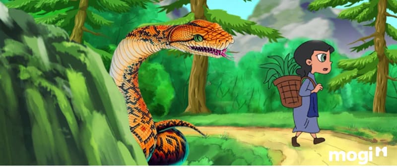Xử lý rắn khi ở ngoài trời