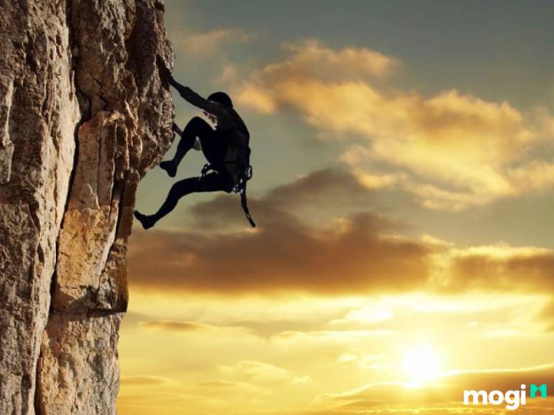 Luận giải chi tiết ý nghĩa Sao Đường Phù thủ Mệnh và tại các Cung khác 14 Sao Đường Phù