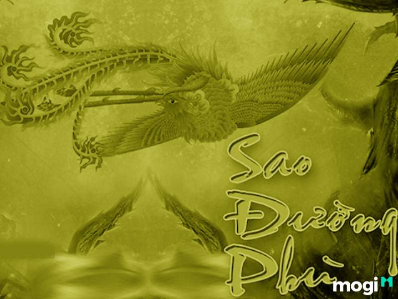 Luận giải chi tiết ý nghĩa Sao Đường Phù thủ Mệnh và tại các Cung khác 1 Sao Đường Phù