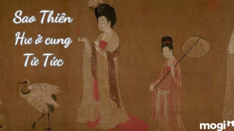 Sao Thiên Hư cung Tử Tức