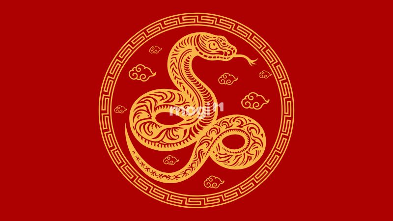 nữ mạng Kỷ Tỵ 1989 gặp vận niên Ngưu Hồi Sơn – tức “Trâu về núi”