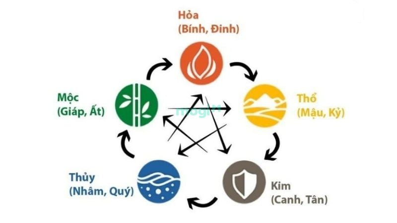 Dự đoán vận hạn tử vi tuổi Mậu Thìn năm 2025 nữ mạng 7 Tử vi Mậu Thìn 1988 nữ mạng xét theo thiên can