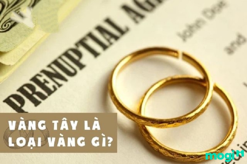 Vàng tây là gì? Vàng tây có đắt hơn vàng ta không?