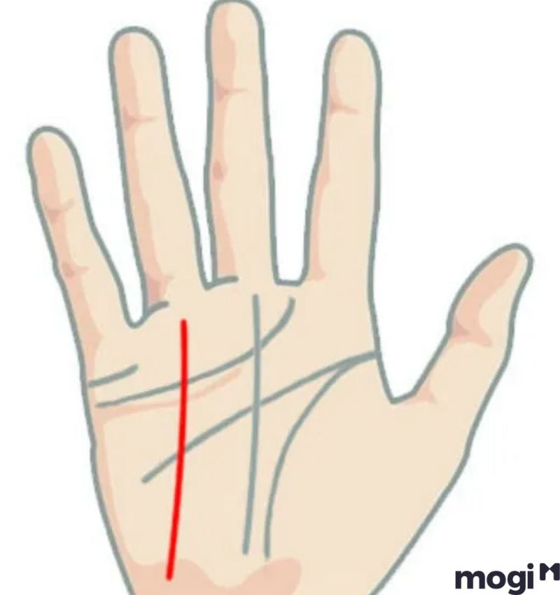 Cách Xem Chỉ Tay Tại Nhà Cực Đơn Giản, Chính Xác Và Hiệu Quả 6 Đường định mệnh