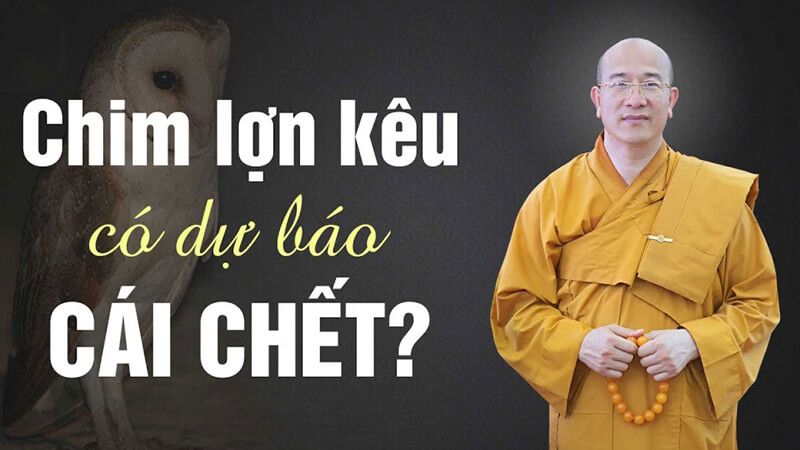 chim lợn kêu
