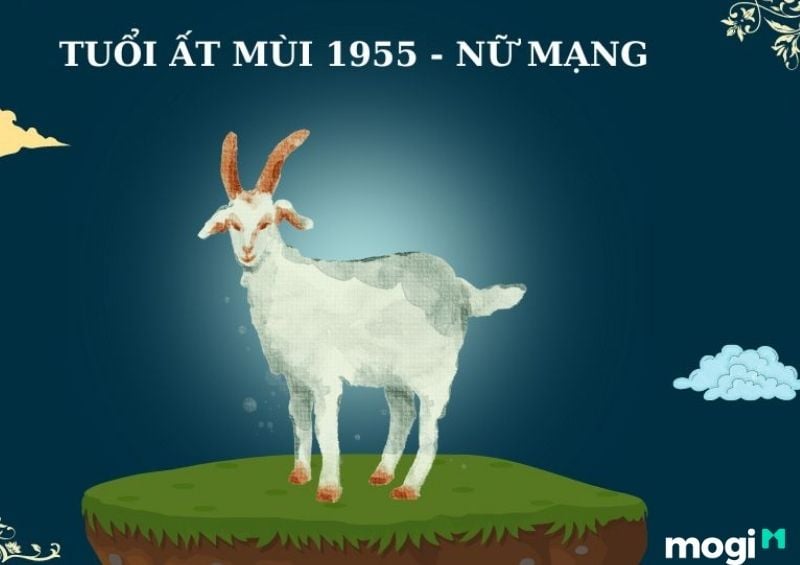   Vận mệnh cuộc đời của người sinh năm 1955 