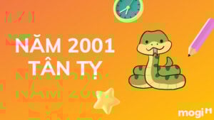 2001 mệnh gì