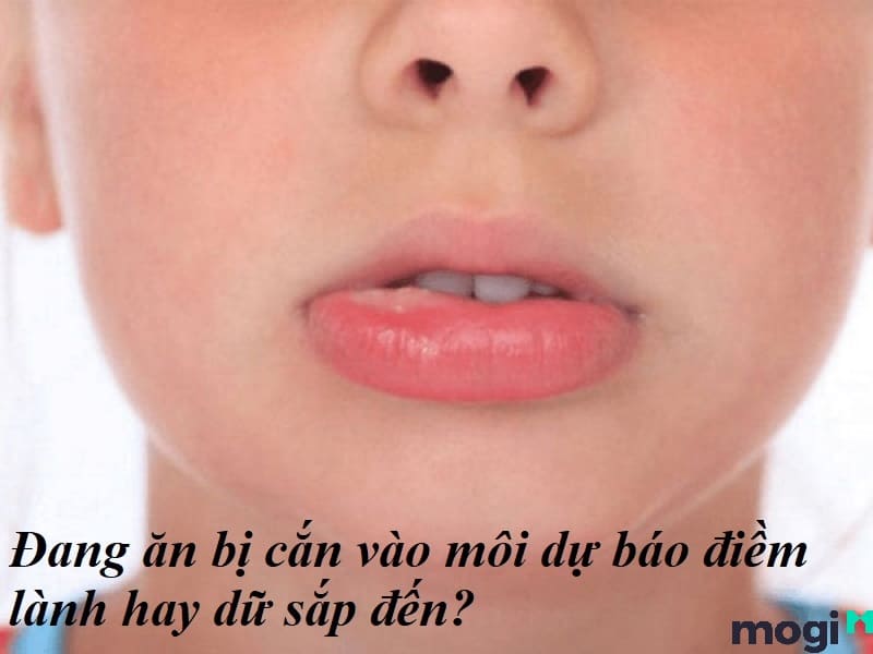 cắn vào môi cắn vào môi