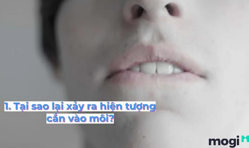cắn vào môi Theo khoa học thì việc cắn môi là hoàn toàn bình thường