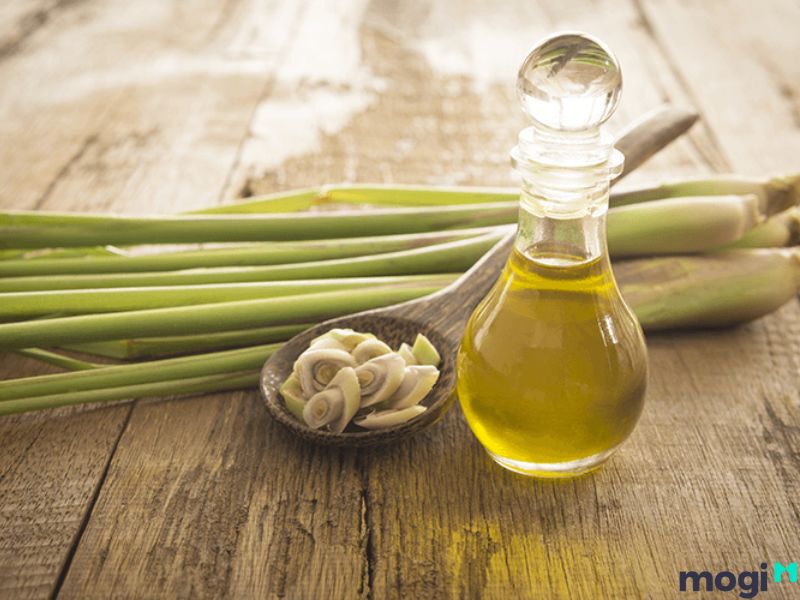 nên xông nhà vào lúc nào 