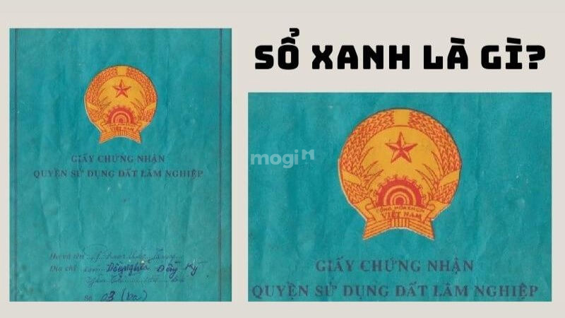 Sổ xanh là gì?